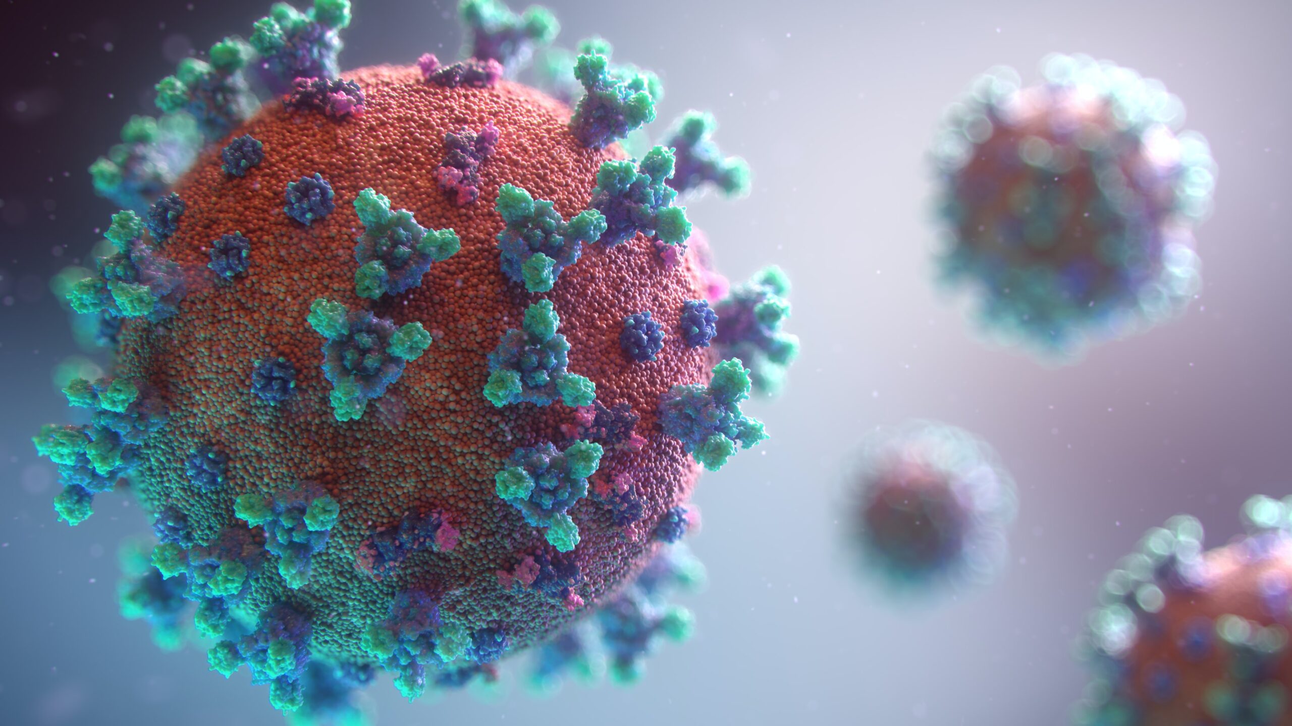 Coronavirus: le novità introdotte dalla legge di conversione del Decreto Liquidità